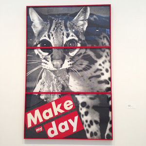 Meet your Posher, Anna lynn